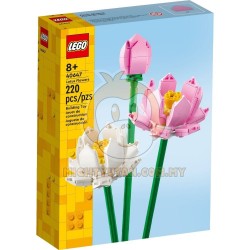 LEGO Iconic 40647 Lotus Flowers